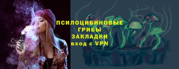 стаф Алзамай