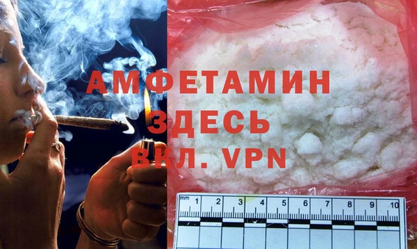 стаф Алзамай