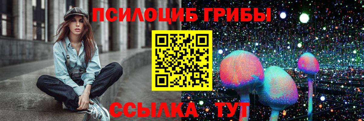 Псилоцибиновые грибы Cubensis  Вход с VPN  Нововоронеж  Псилоцибиновые грибы Psilocybine cubensis 